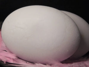 DSCN0310.JPG