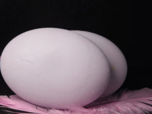 DSCN0308.JPG
